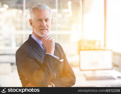 Senior businessman in his office. Portrait of senior businessman in front of his modern office with sun flares