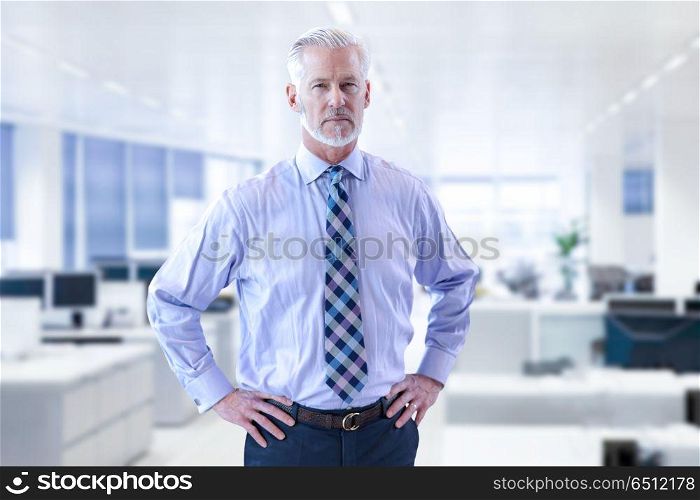 Senior businessman in his office. Portrait of senior businessman in front of his modern office