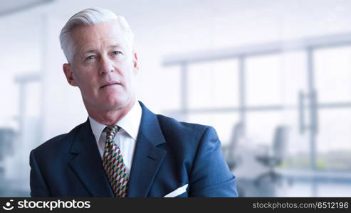 Senior businessman in his office. Portrait of senior businessman in front of his modern office