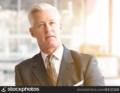 Senior businessman in his office. Portrait of senior businessman in front of his modern office