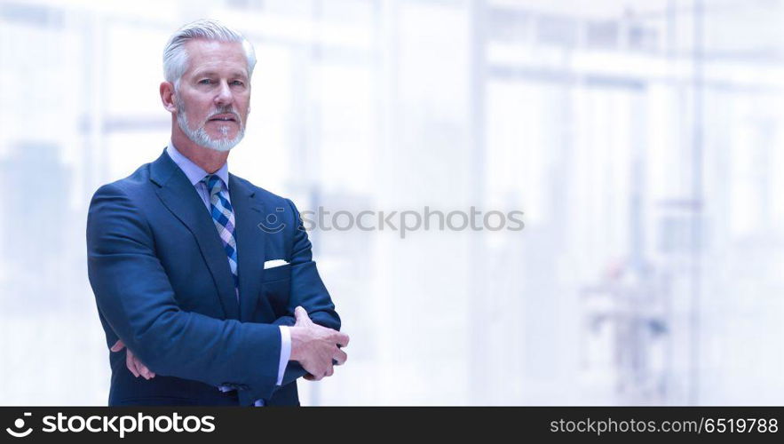 Senior businessman in his office. Portrait of senior businessman in front of his modern office