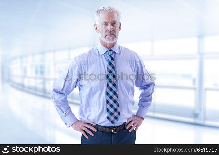 Senior businessman in his office. Portrait of senior businessman in front of his modern office