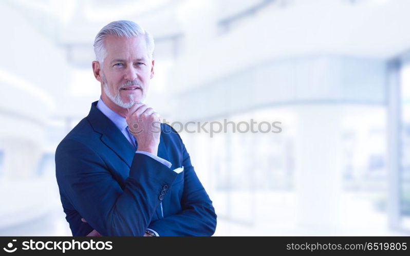 Senior businessman in his office. Portrait of senior businessman in front of his modern office