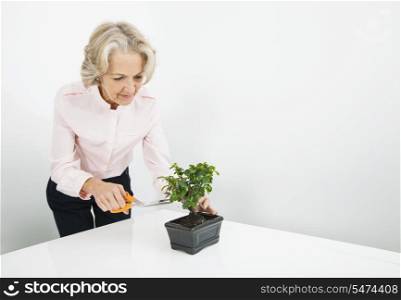 Senior businesswoman pruning plant at desk in office
