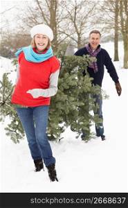 Senior Couple Carrying Christmas Tree In Snowy Landscape
