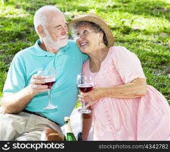 Senior couple drink wine on a romantic picnic in the park.