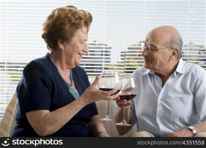 Senior couple drinking wine