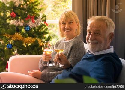 Senior couple drinking wine.Happy senior couple celebrate the festival of happiness.Old couples celebrating Christmas.