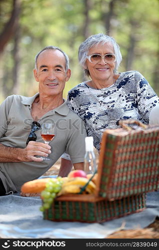 Senior couple enjoying a picnic