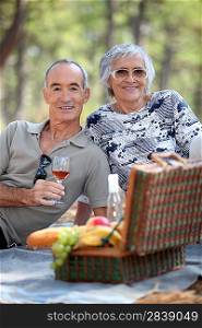 Senior couple enjoying a picnic