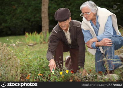 senior couple gardening
