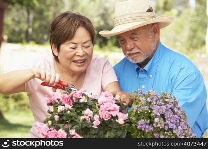 Senior Couple Gardening Together