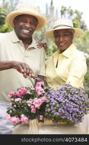 Senior Couple Gardening Together