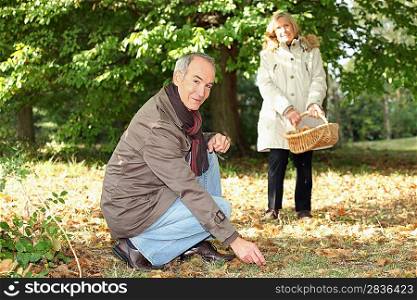 Senior couple gathering mushrooms