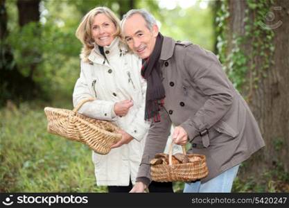 senior couple gathering mushrooms