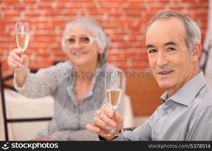 Senior couple having a dinner in a restaurant