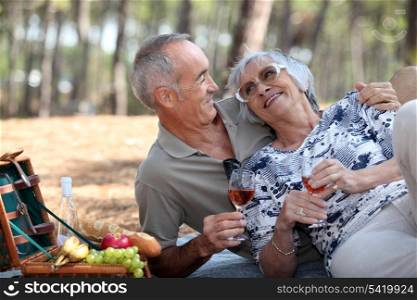 senior couple having a romantic picnic in the park