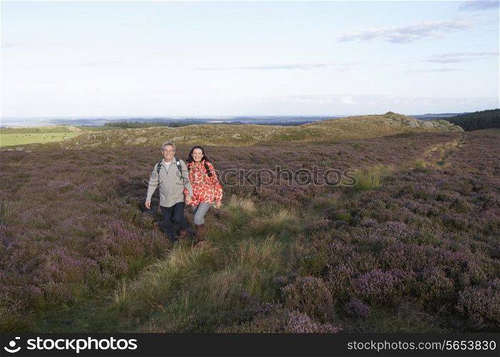 Senior Couple Hiking Across Moorland Covered With Heather