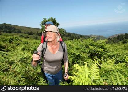 Senior couple hiking in natural landscape