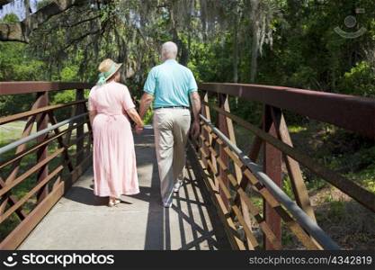 Senior couple holding hands and strolling through a tropical park.