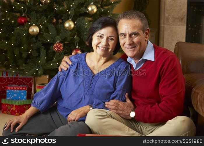 Senior Couple In Front Of Christmas Tree