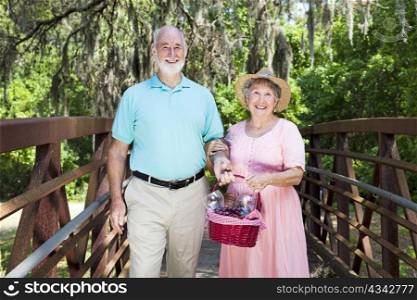 Senior couple in the park, carrying a picnic basket.