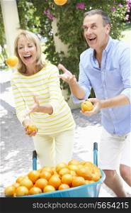 Senior Couple Juggling Oranges In Front Of Wheelbarrow