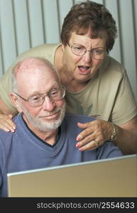 Senior couple looking at screen