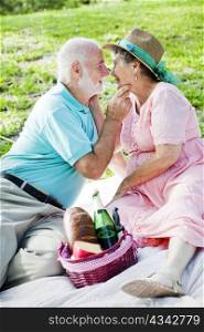 Senior couple on a picnic gets romatic.