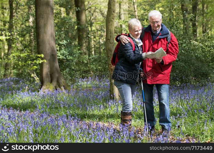 Senior Couple On Walk Through Bluebell Wood Looking At Map