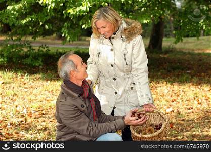 Senior couple picking chestnuts