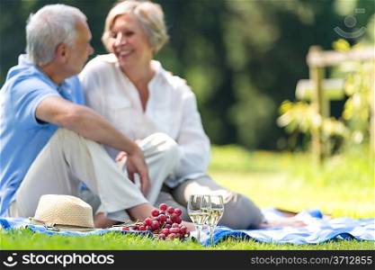 Senior couple picnicking in the park smiling