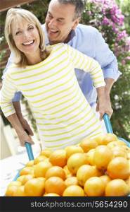 Senior Couple Pushing Wheelbarrow Filled With Oranges