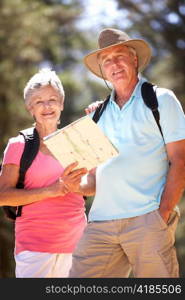 Senior couple reading map on country walk