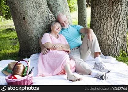 Senior couple relaxing on a picnic in the park.