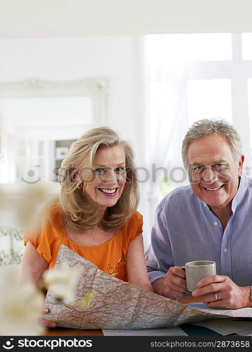 Senior couple sitting at dining table portrait