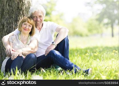 Senior couple sitting on grass. Happy senior couple sitting on grass under a tree in park at sunny summer day