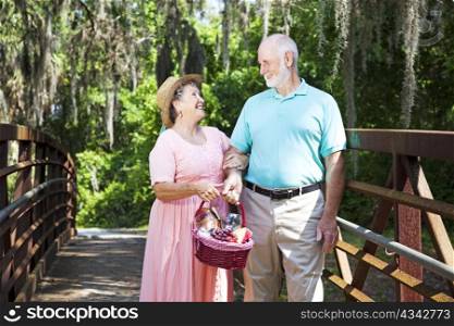 Senior couple strolling across a bridge with their picnic basket.