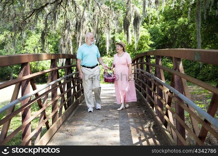 Senior couple strolling through the park on their way to a picnic.