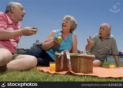 Senior couple with their friend at picnic