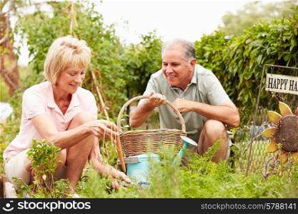 Senior Couple Working On Allotment Together