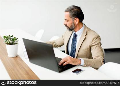 Senior  director sitting at desk and working on laptops in the office