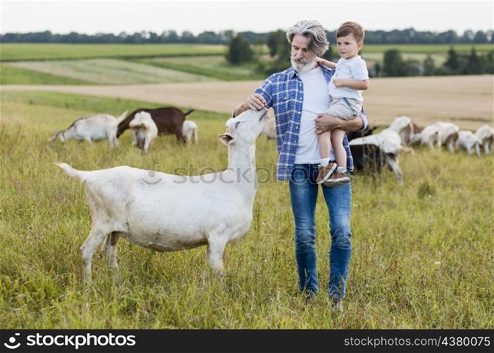 senior holding little boy play with goats