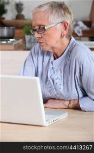 senior lady having on-line assistance