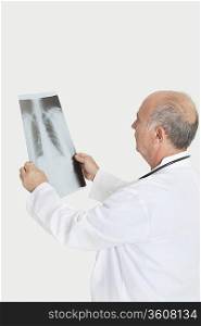 Senior male doctor examining medical radiograph over gray background