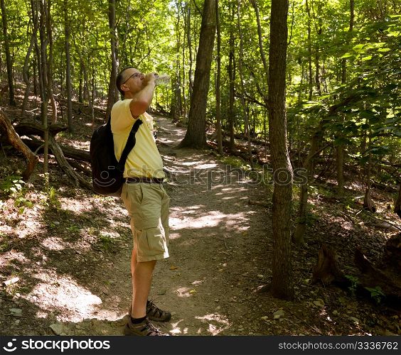 Senior male hiker overlooking the path through forest and drinking from water bottle