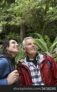 Senior man and middle-aged woman in forest, looking up