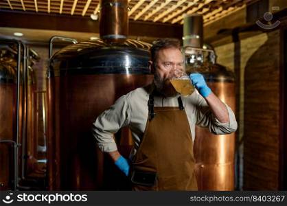 Senior man brewery technologist tasting fresh craft beer at microbrewery plant. Inspector working at alcohol manufacturing factory checking ale or lager. Brewery technologist tasting fresh craft beer at microbrewery plant