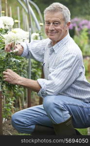 Senior Man Cultivating Flowers In Garden