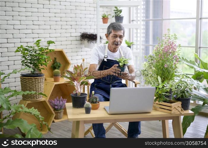 Senior man entrepreneur working with laptop presents houseplants during online live stream at home, selling online concept